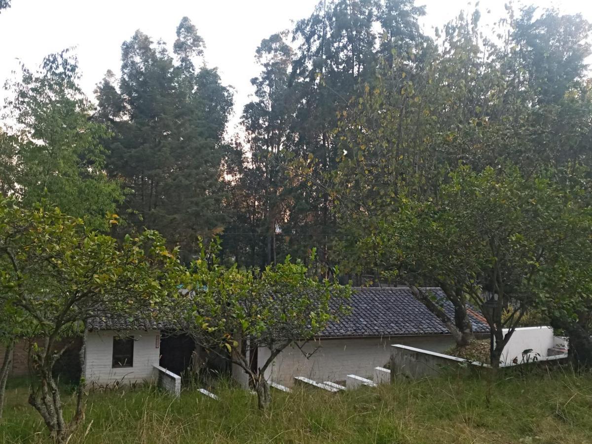 Quinta Los Eucaliptos Hotel Quito Luaran gambar